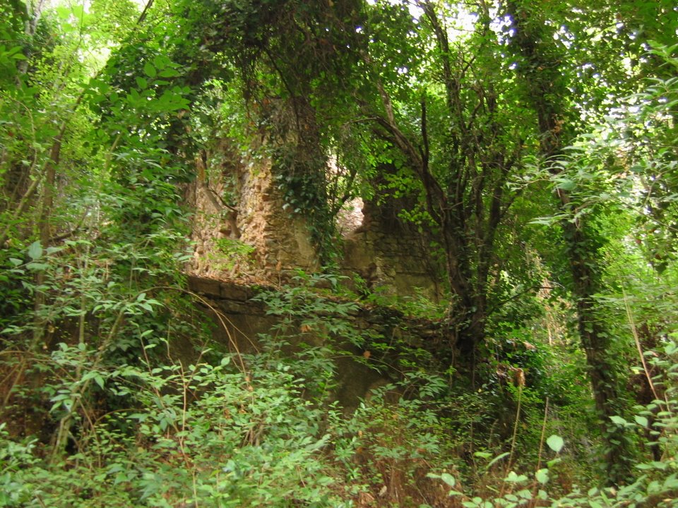 Ruinas en el arroyo del Molino by Almijacar