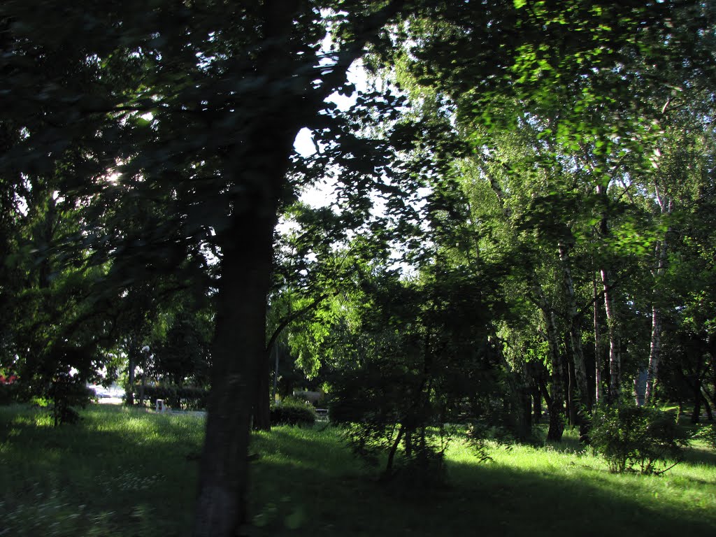 Nakło nad Notecią - Park 700-lecia. W XIX wieku park ten nie istniał i odbywały się tu ćwiczenia wojskowe z pobliskiego garnizony pruskiego (obecne budynki sądu). by krzysztofk