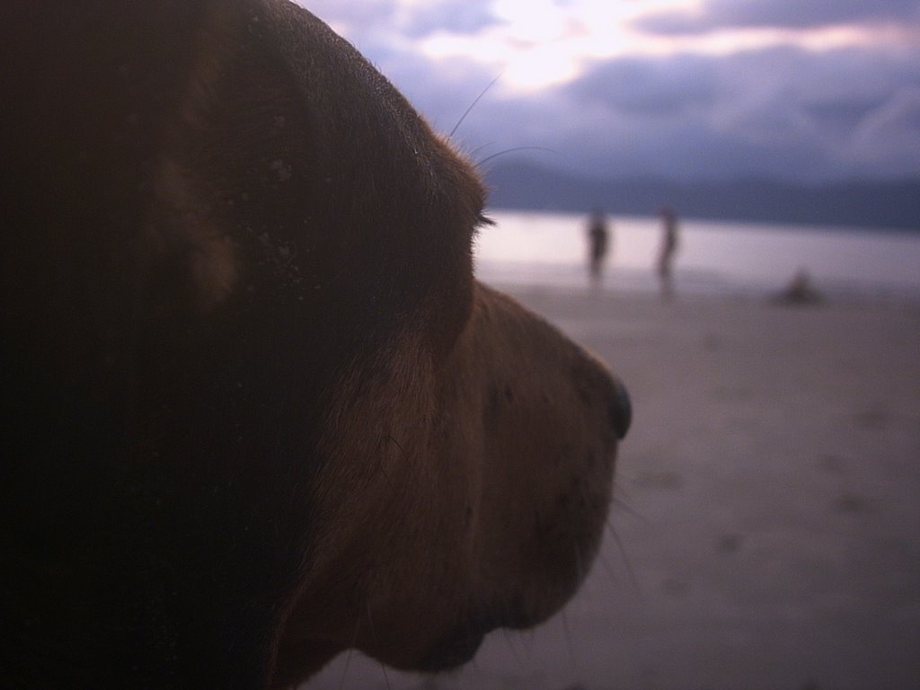 "Cusco" in the beach by mindubars