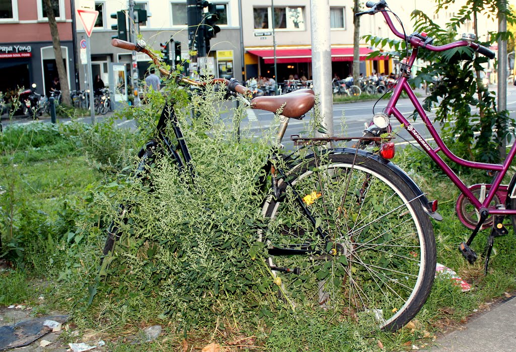 In Duesseldorf by Tassos B.