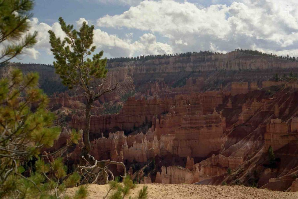 Bryce Canyon Overlook by jrauh