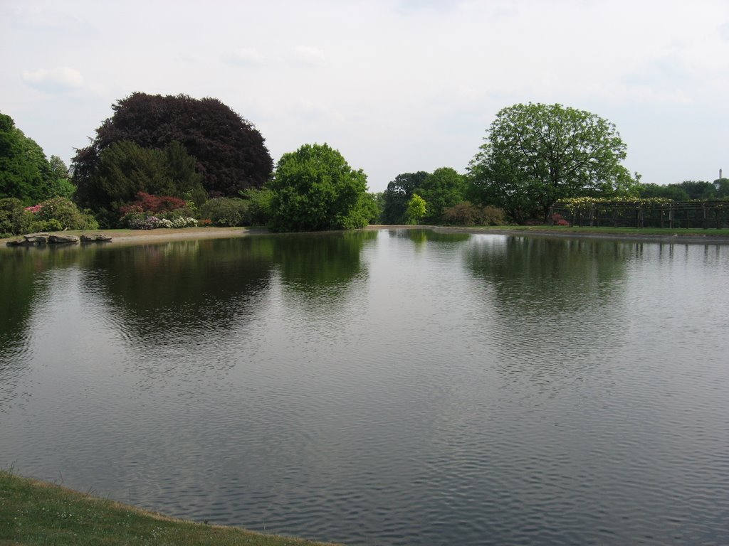 Pond at the Royal Greenhouse by Rusty Barnett