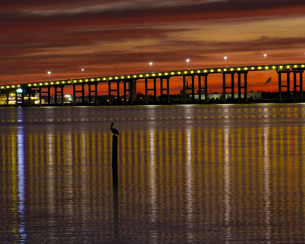 Biloxi Bridge Pelican Silhouette by RRTrusto