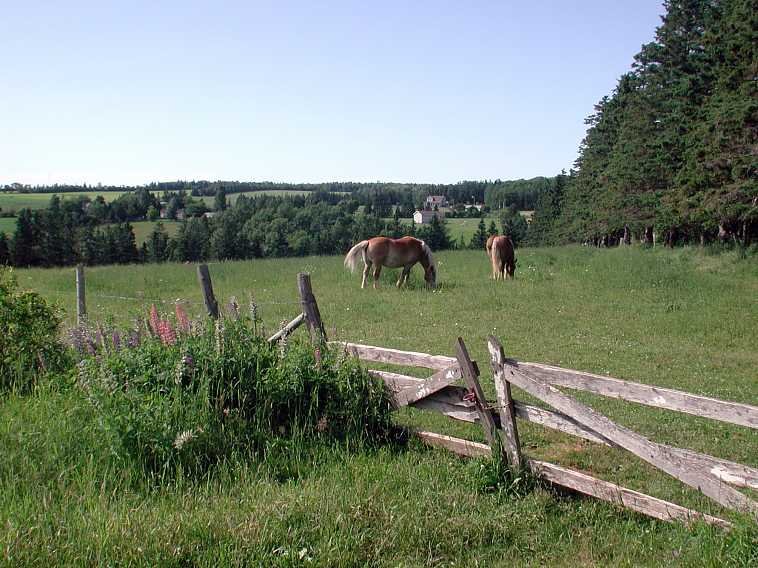 Rural PEI by Alex Makienko