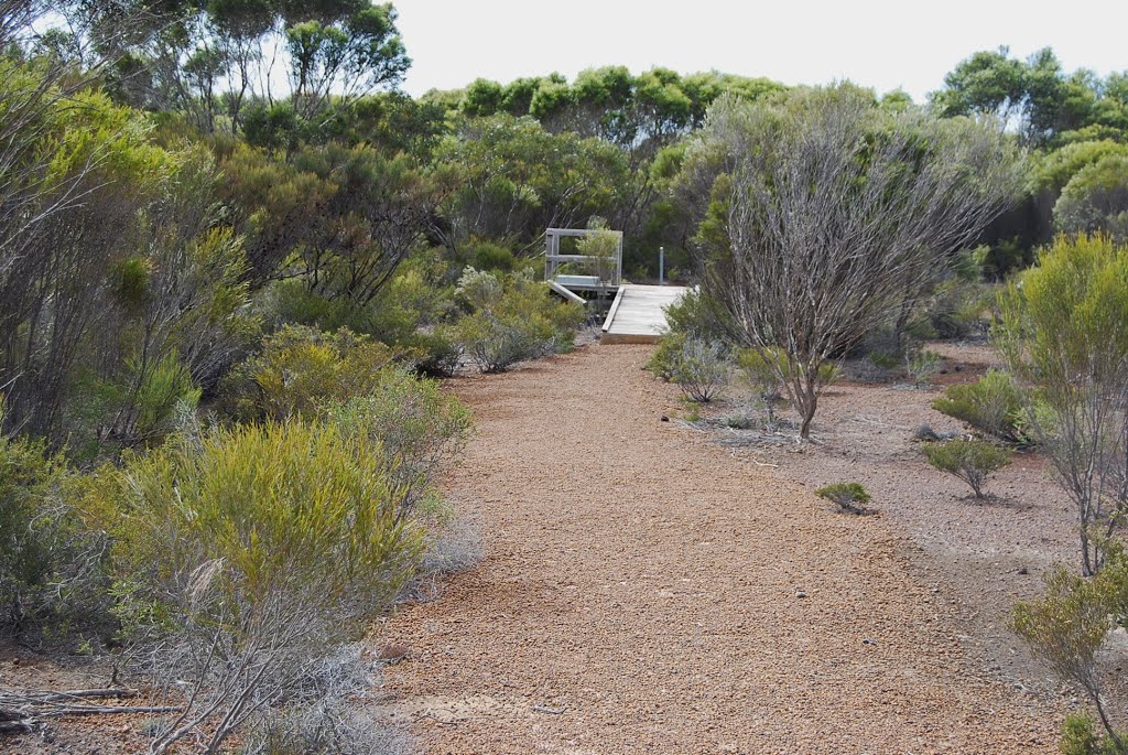 The trail into the conservation park by Phaedrus Fleurieu