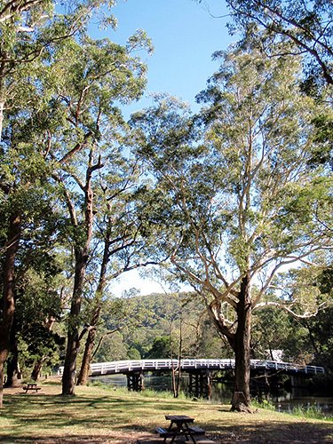 Hacking River Currawong Flats by Looking Glass