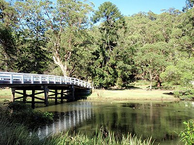 Engadine Track bridge on Hacking River by Looking Glass