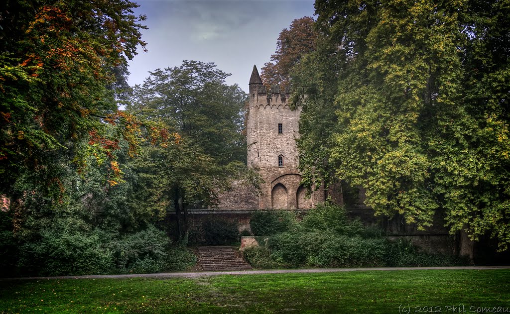 Wall and battlement by Phil Comeau