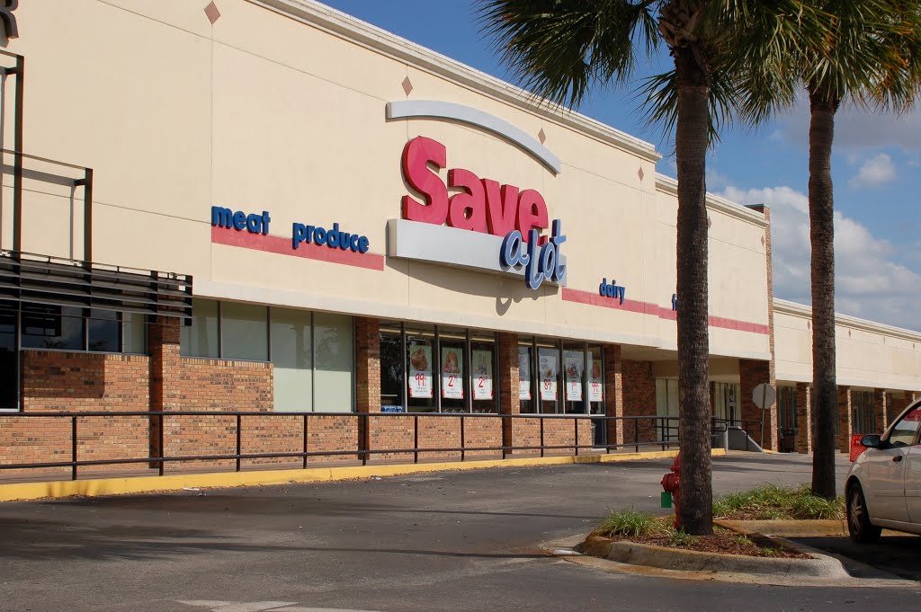 Save a Lot at Lake Wales, FL by Scotch Canadian