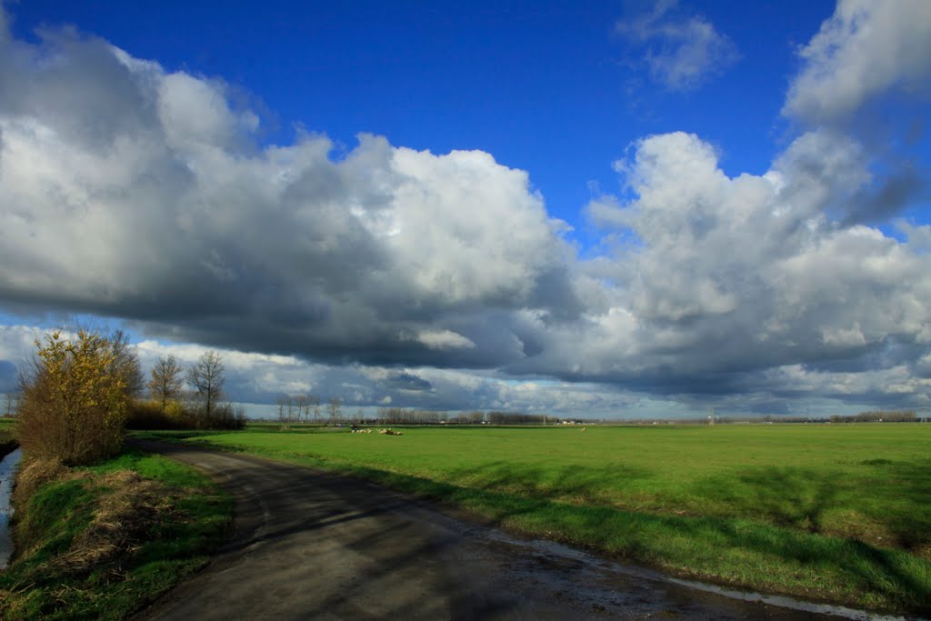 Het landschap ten noorden van Buren op de Blatumsedijk. by watersnip