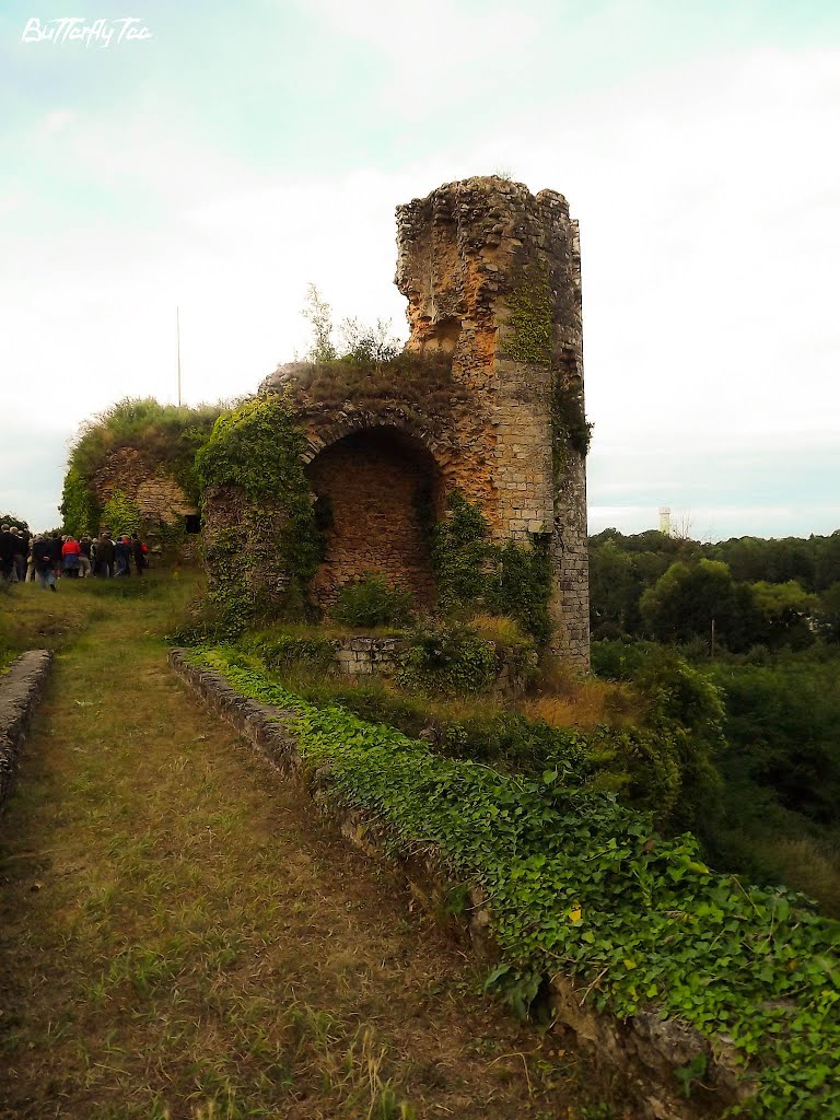 Les ruines 1 by Butterfly_Tea81