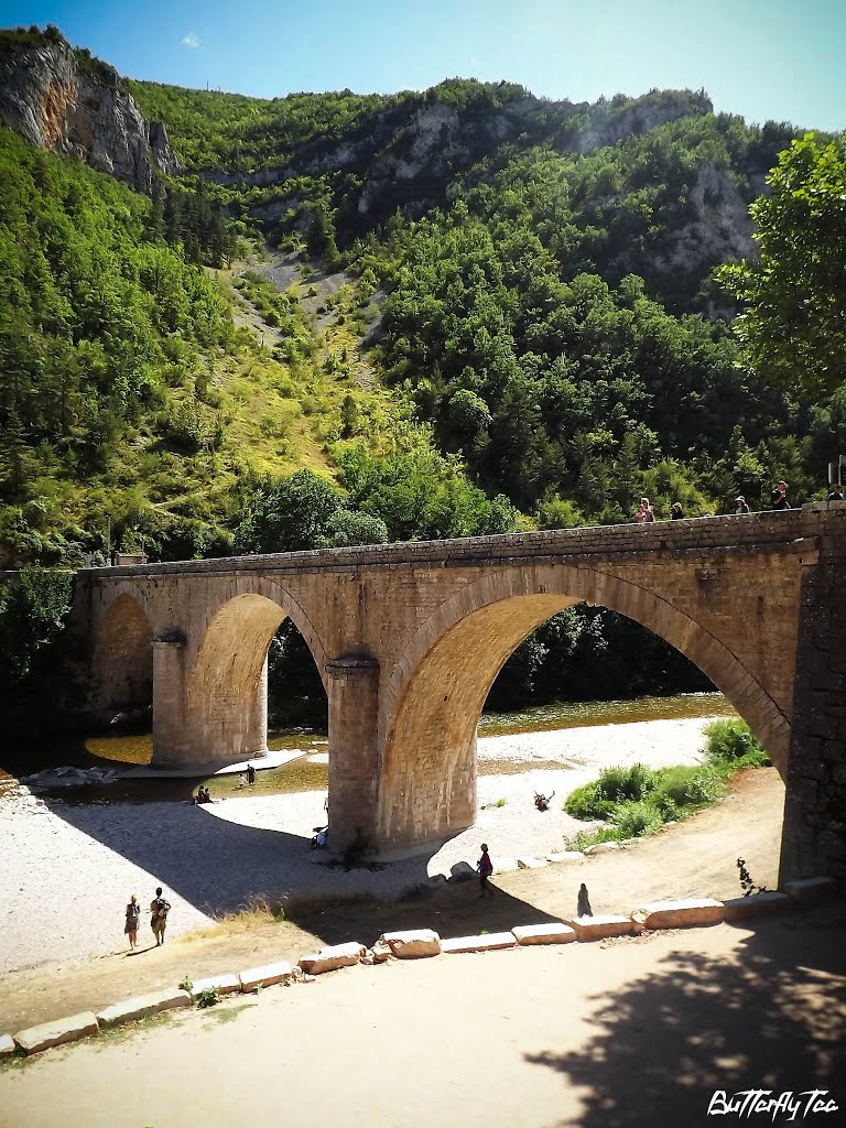 Le Pont Magnifique by Butterfly_Tea81