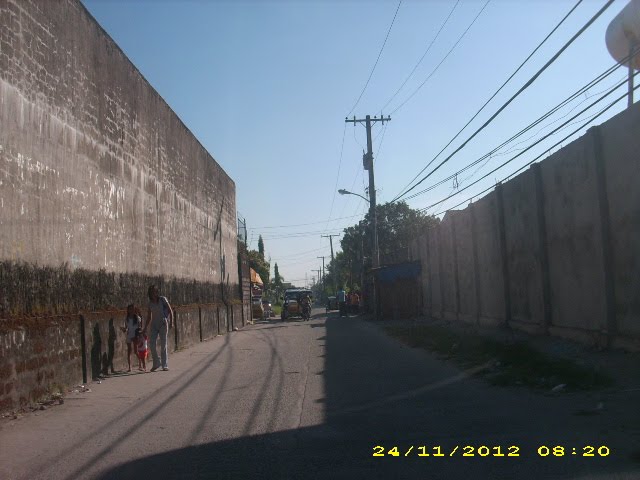 Road going east @ brgy. Suizo (24nov12) by marino sacro