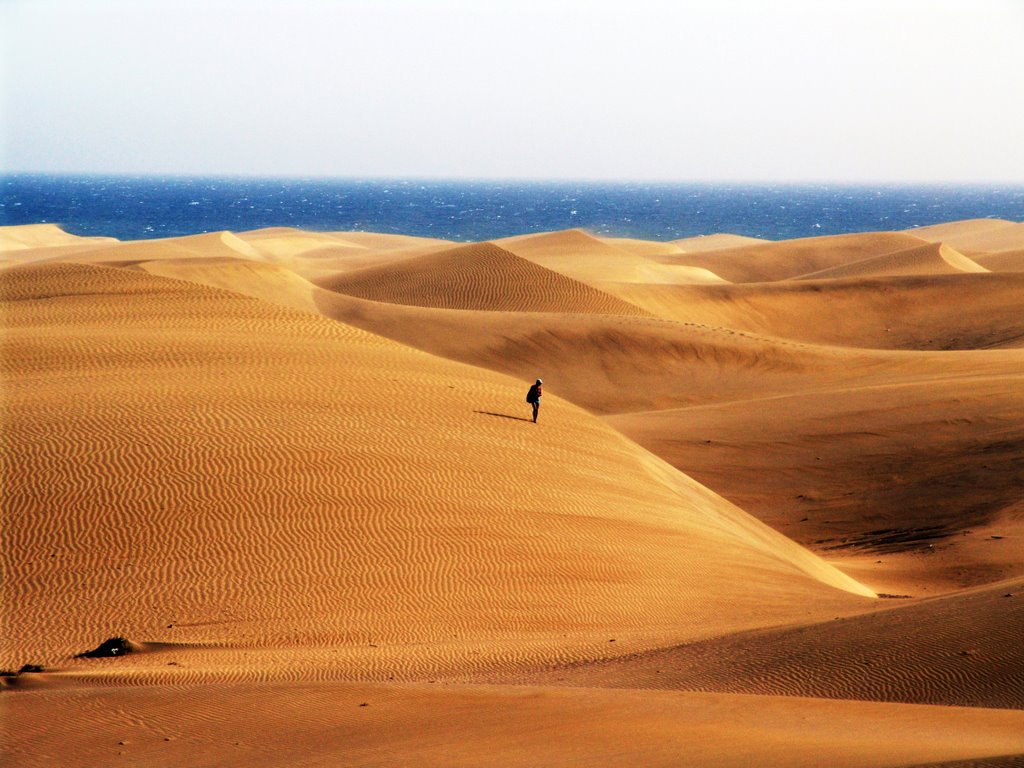 Dunas in Mas palomas by robert buga