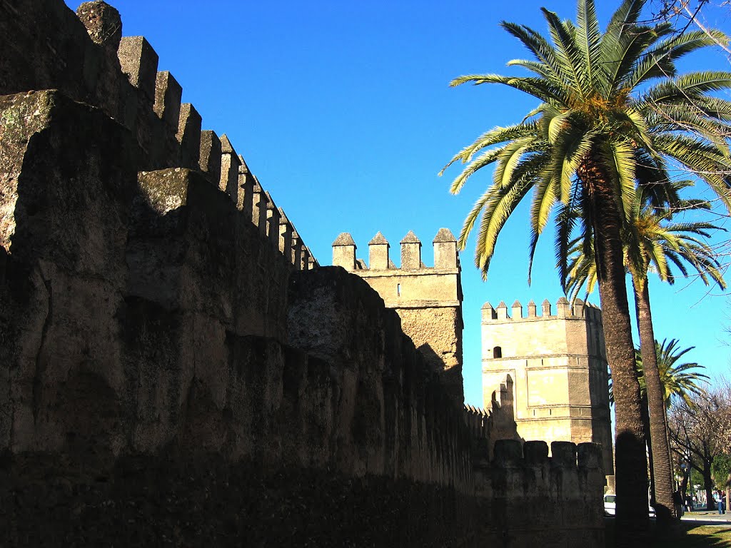 Muralla de Sevilla by marathoniano