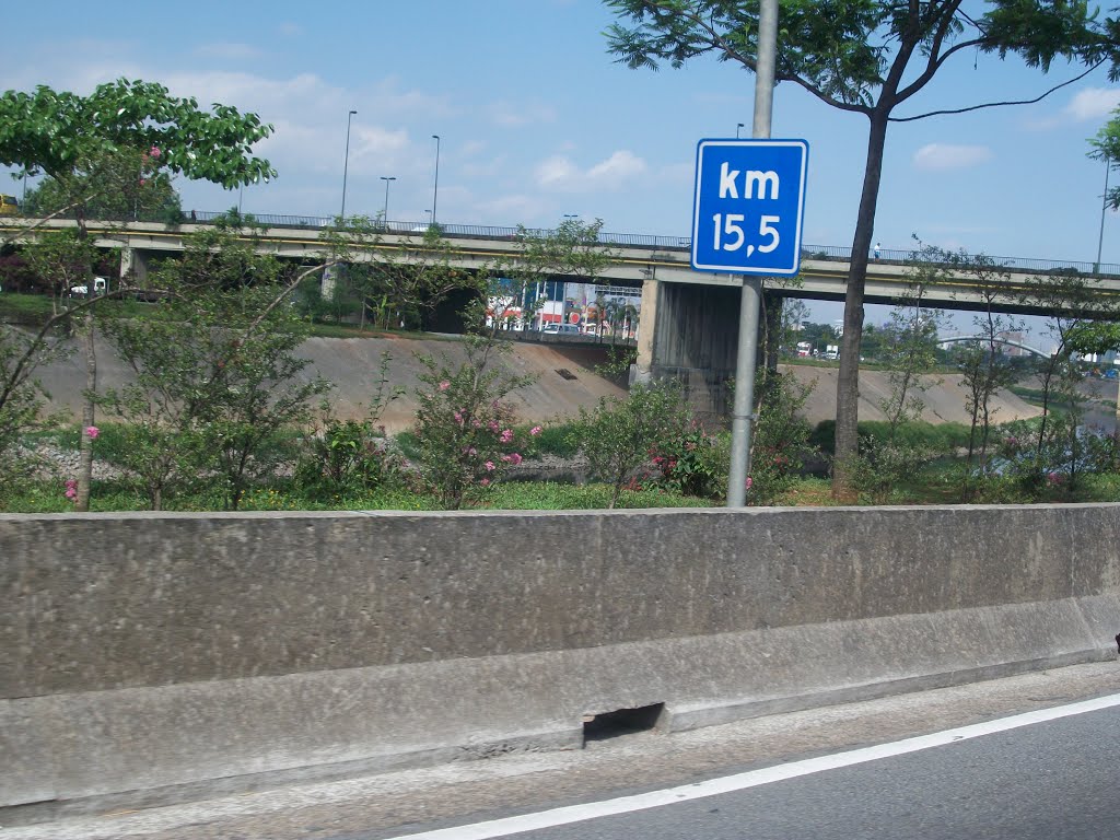 São Paulo / Brazil - Avenue Marginal Tiete Km15,5 - November 2012 by ANTONIO CARLOS CAVALHEIRO