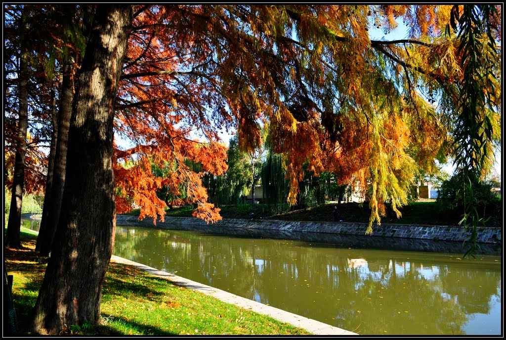 Warm colours by Adriana Popa