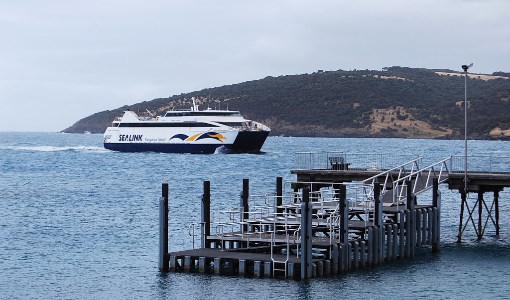 Muliti-level docking point, and approaching ferry by Phaedrus Fleurieu