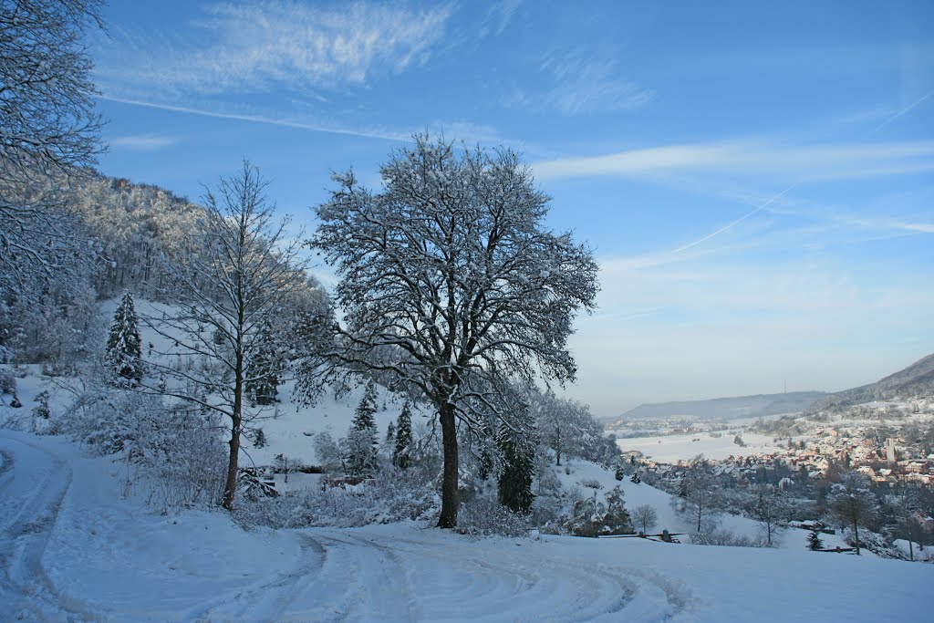 Aussicht Weg am Knöckling am Nachmittag by ds53