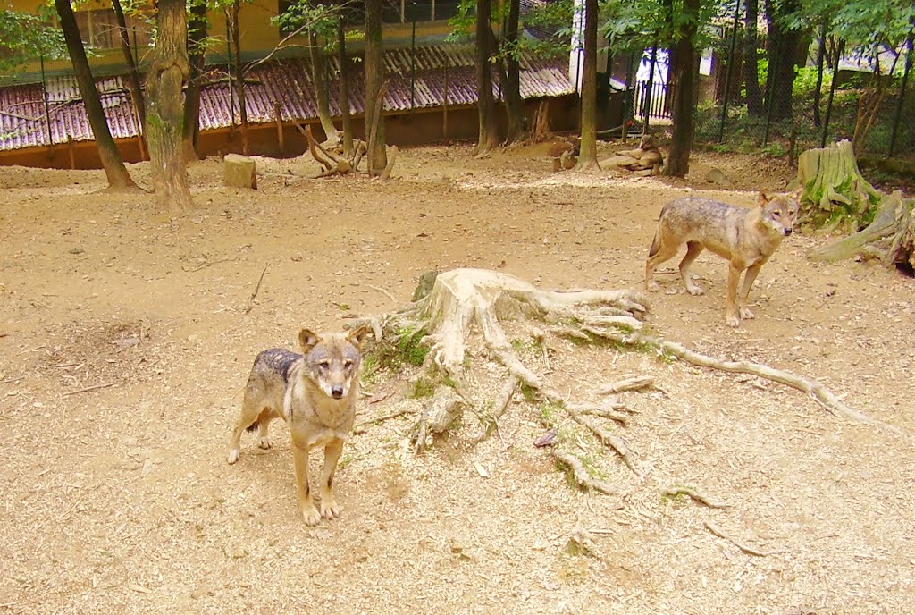 ZOO LJUBLJANA by Ferlinc Smiljan