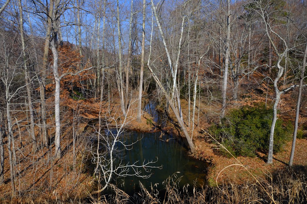 VIRGINIA: YORK COUNTY: Colonial National Historic Parkway: Jones Mill Pond: waters and forest to the north of the Parkway by Douglas W. Reynolds, Jr.