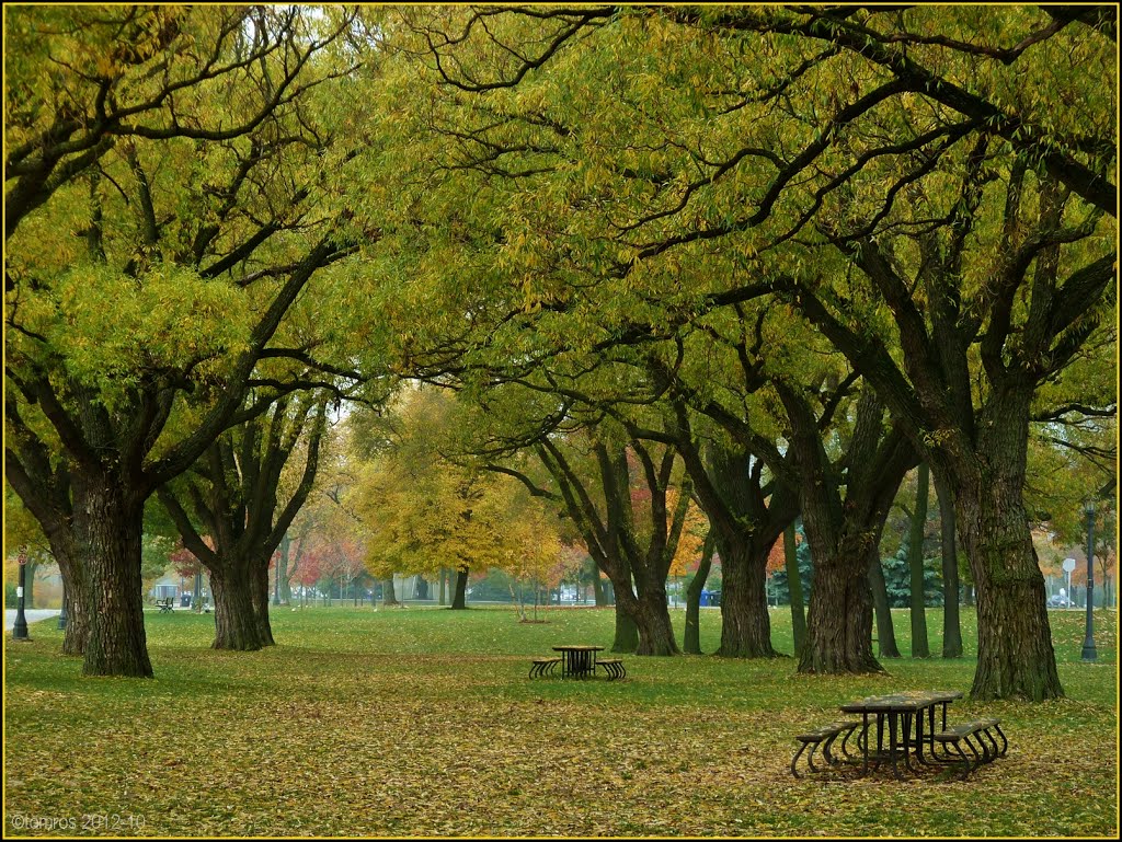 Sunnyside Park in October by Tomros