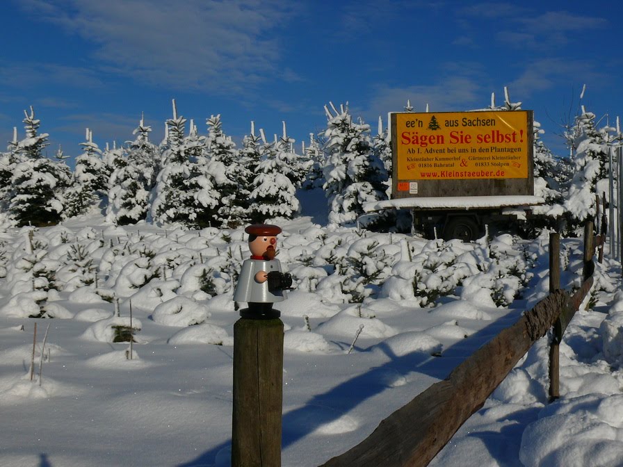 Ee'n Weihnachtsbaum aus Sachsen by mathias.b