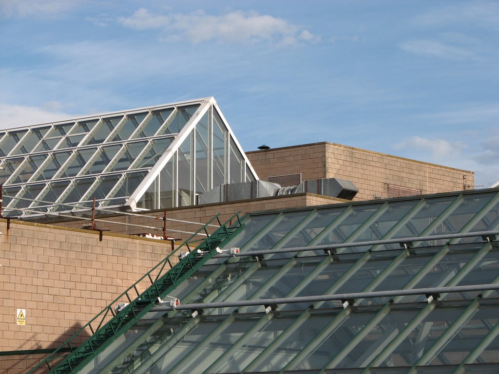 Wellgate Centre roof by elah-lane