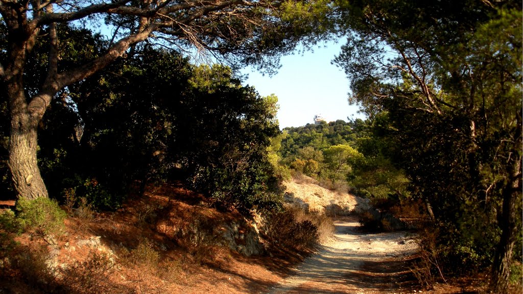 Sur la Route du Sémaphore_Porquerolles_082012 by jrdu13