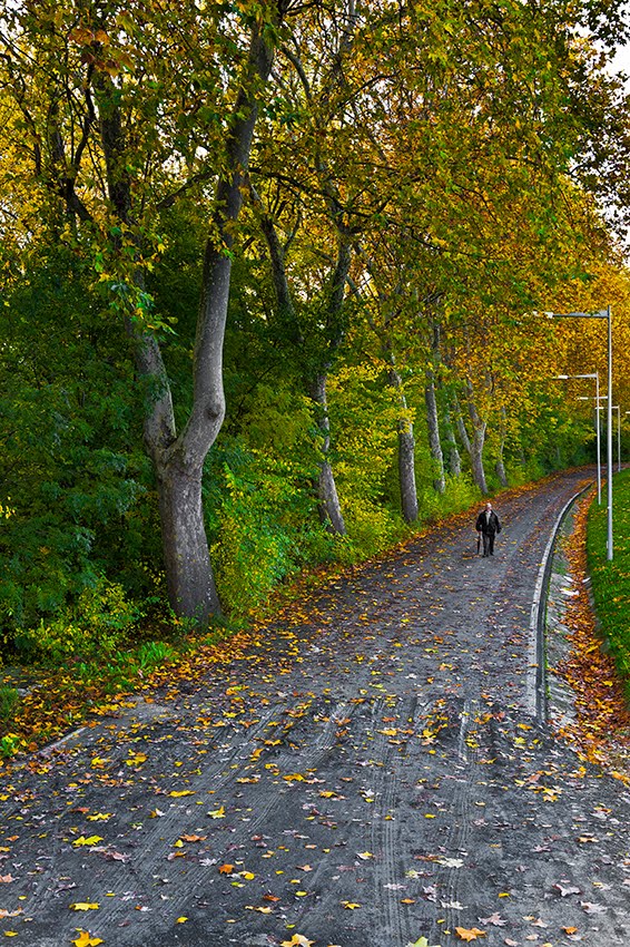 Pamplona en Otoño by Francisco Javier Díaz Benito