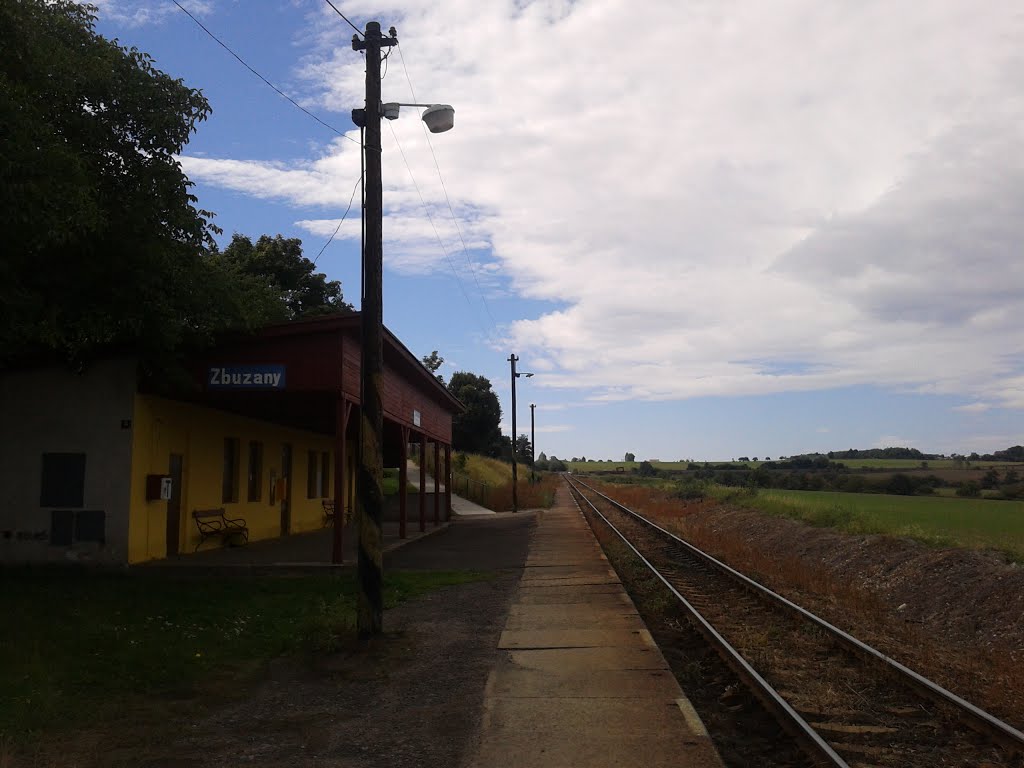 Zbuzany railway station by hoscalek