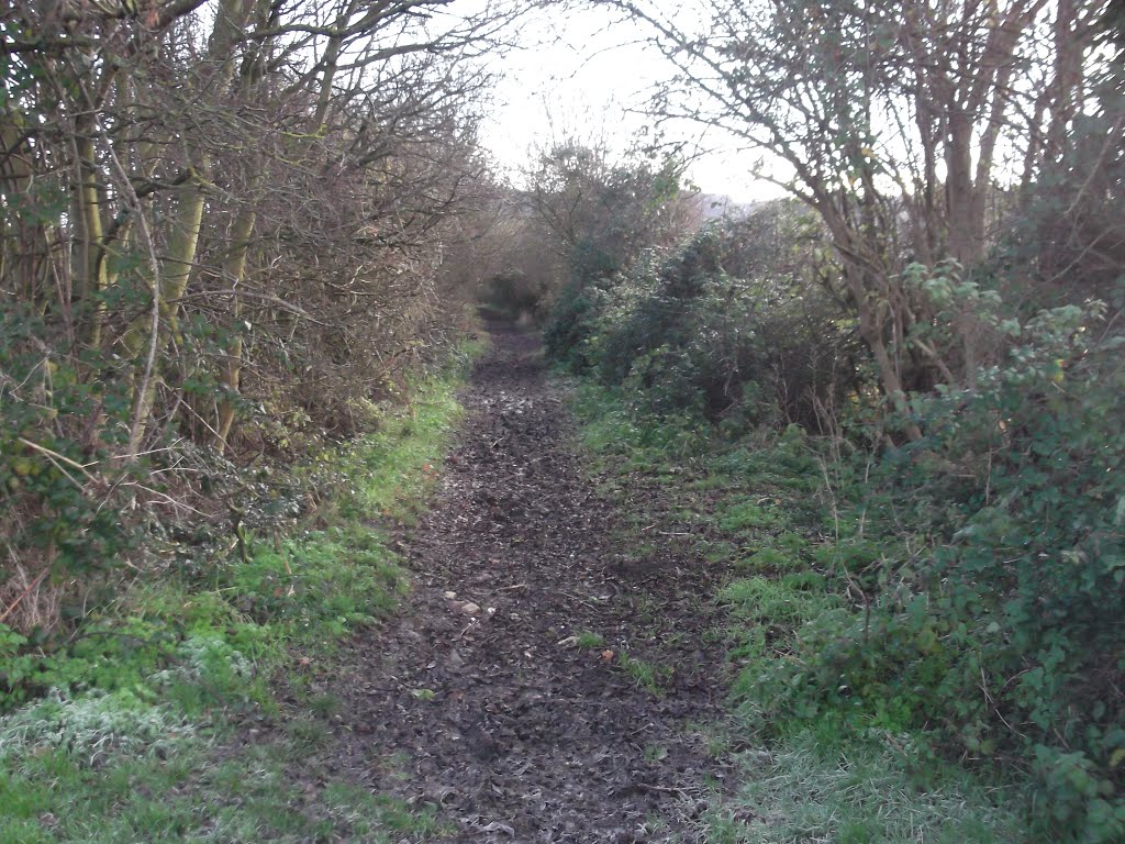 Public Bridleway by Dakota&cloudyboy