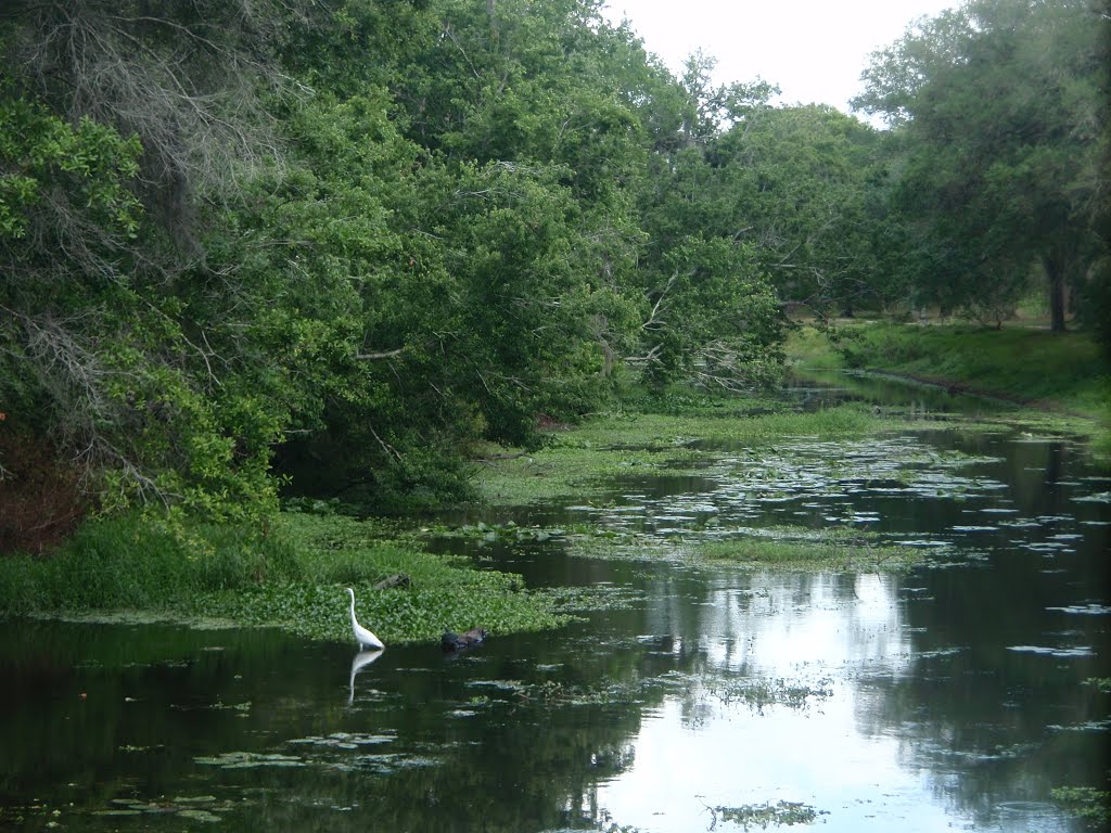 Sawgrass Park by mrskdkins