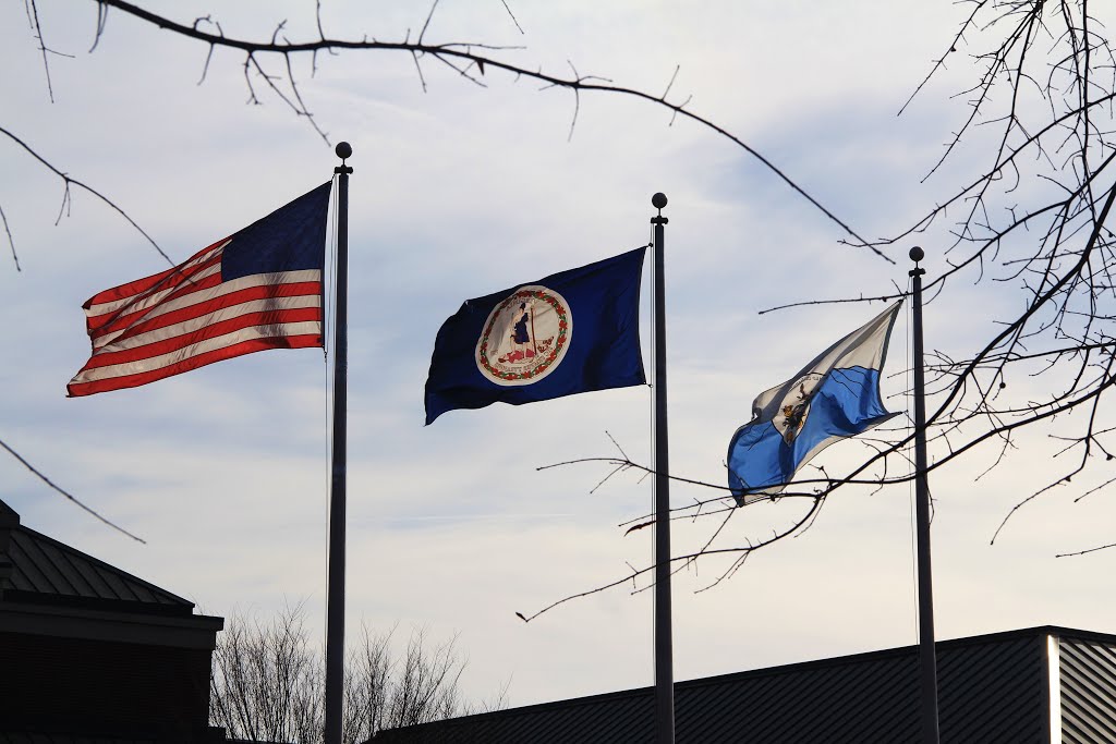 Carroll County Courthouse Flags (Hillsville, Virginia) by John MacKinnon