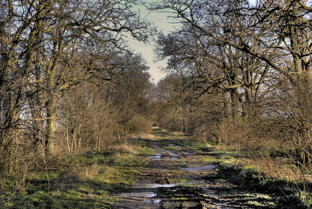 Path at Žitný ostrov by cloveciahlava