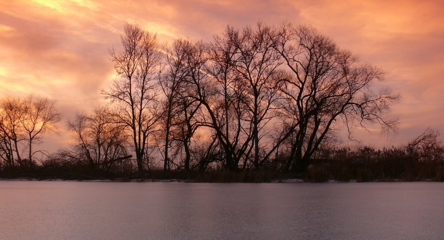 Winter in Schwandorf by @schaffer.alfred