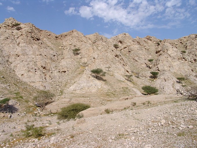 Ras Al-Khaimah - Ras al Khaimah - United Arab Emirates by Stanislav Krejcik ww…