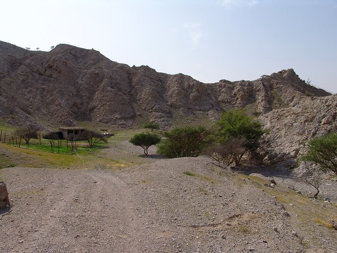 Ras Al-Khaimah - Ras al Khaimah - United Arab Emirates by Stanislav Krejcik ww…