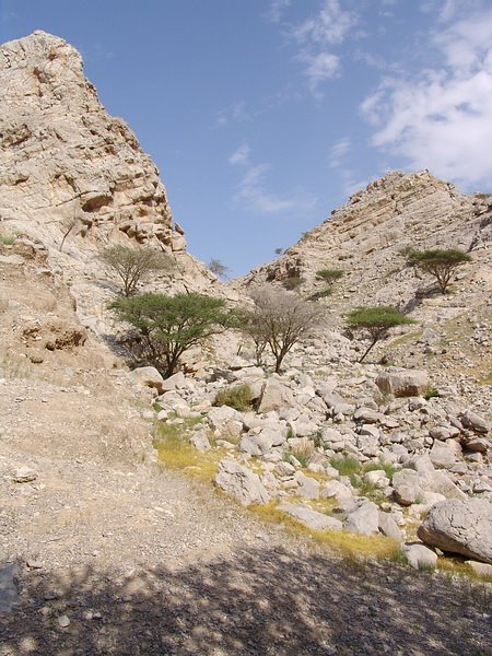 Ras Al-Khaimah - Ras al Khaimah - United Arab Emirates by Stanislav Krejcik ww…