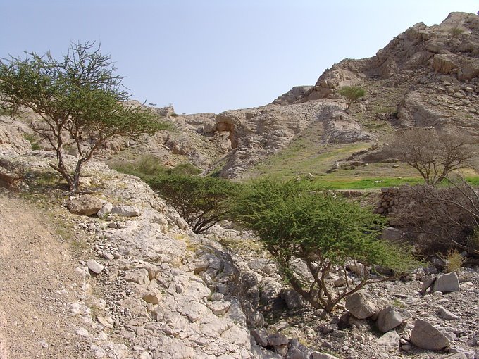 Unnamed Road - Ras al Khaimah - United Arab Emirates by Stanislav Krejcik ww…