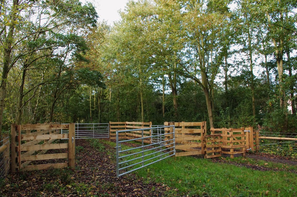 "cattle pen" lincewood. langdon. essex. oct 2012 by kinderbill