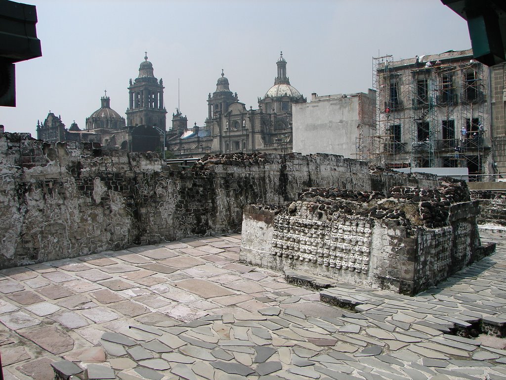 Desde el Templo Mayor by Alfonso