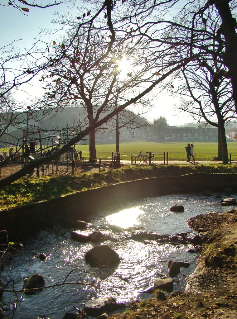 River Porter scene in early winter 3, Endcliffe Park, Sheffield S11 by sixxsix