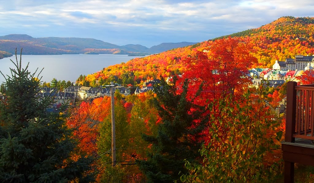 Les couleurs de l'automne 2012 vue de chez Jean-Gilles by Benlagraine