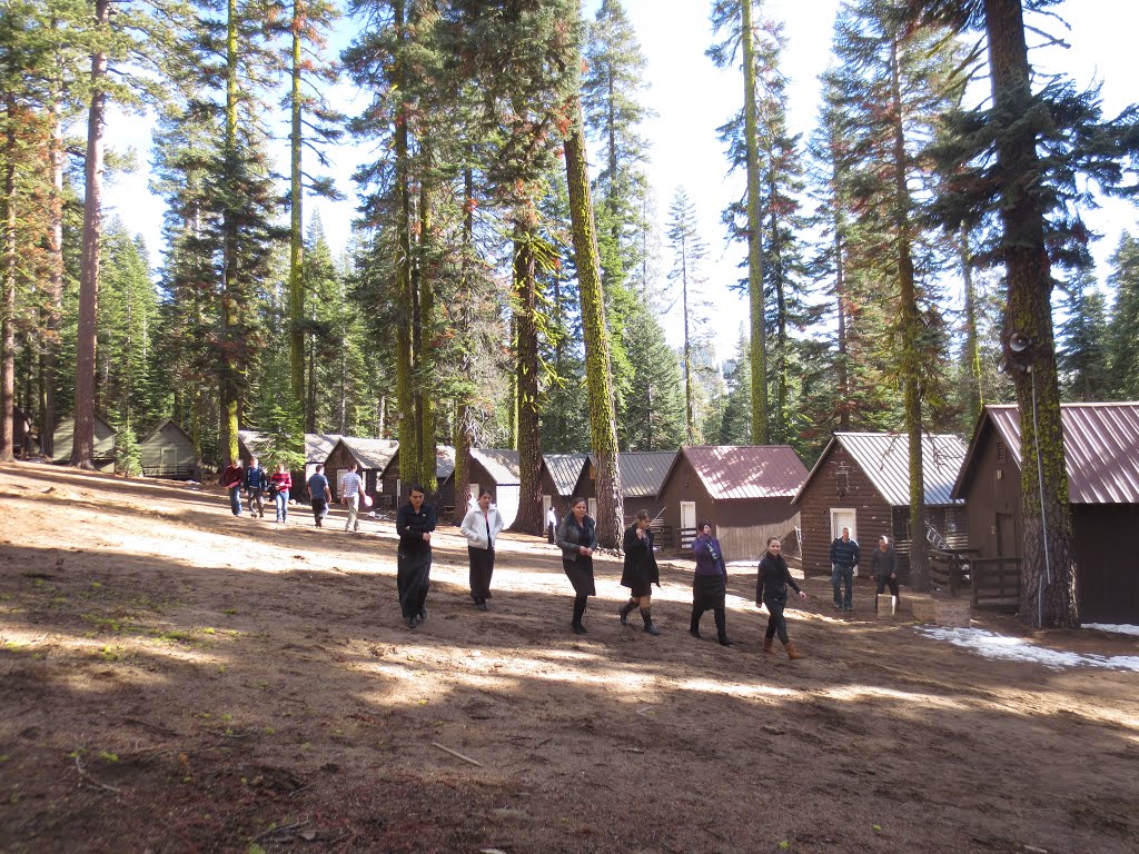 Sierra Pines Camp by Avakym