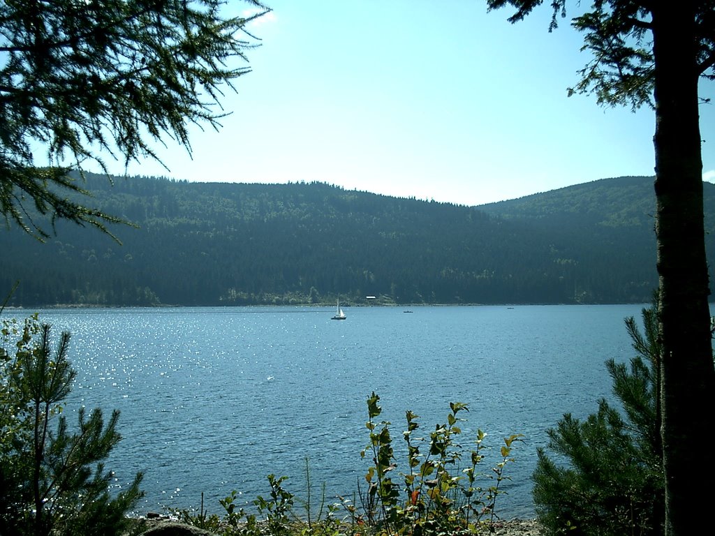 Schluchsee, Black Forest by Dianora di Tigana