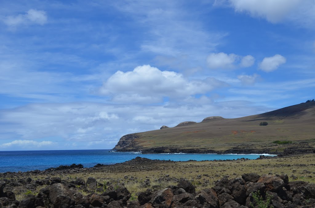 Easter Island (82962211) by Viktor Bakhmutov