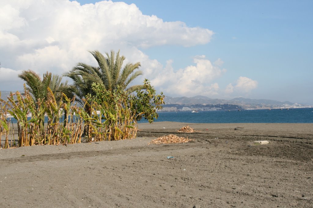 Torre del Mar - Palmen am Strand by hhkobbe