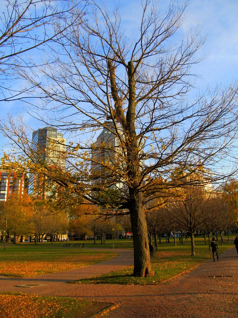 Boston Common by MementoMori