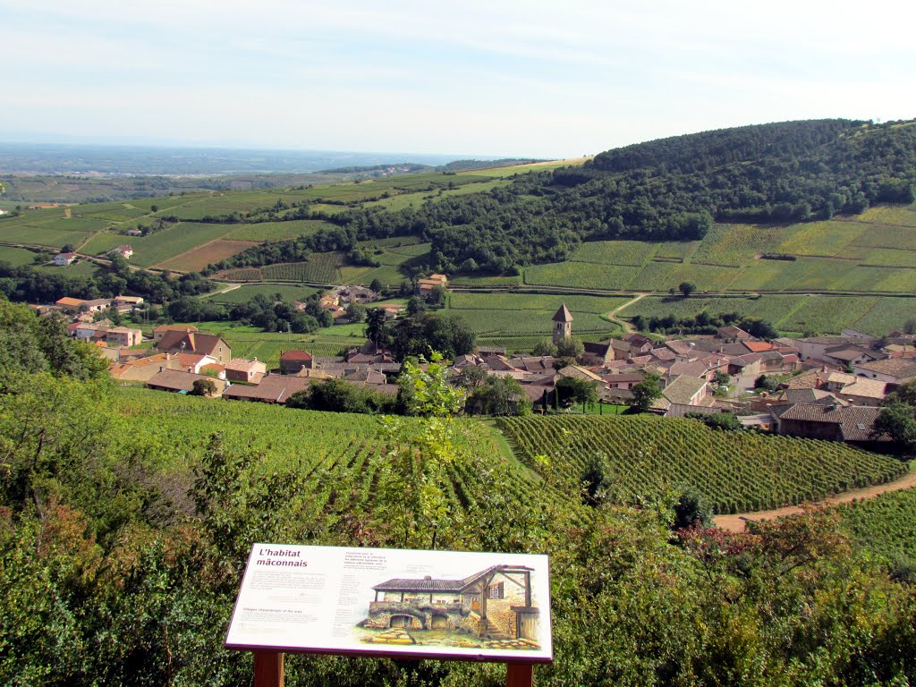 Vue partielle sur le village de Solutré-Pouilly # Saône-et-Loire (71) . by SUPERDANIEL 1